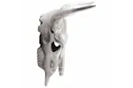 Bull Skull Silver 49 X 10 X 36 Cm Aluminium Bull Skull Silver 49 X 10 X 36 Cm Aluminium