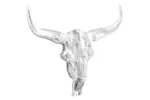 Bull Skull Silver 53 X 11 X 40 Cm Aluminium Bull Skull Silver 53 X 11 X 40 Cm Aluminium