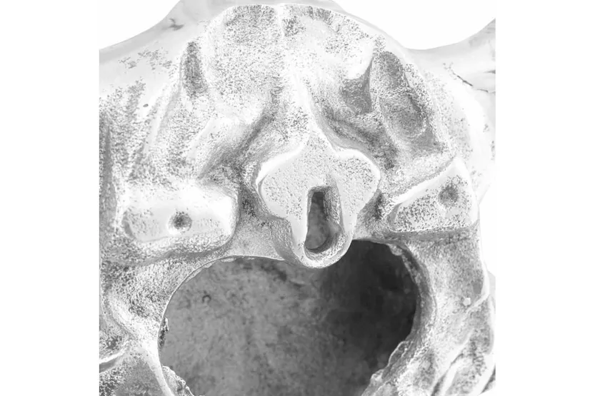Bull Skull Silver 53 X 11 X 40 Cm Aluminium Bull Skull Silver 53 X 11 X 40 Cm Aluminium