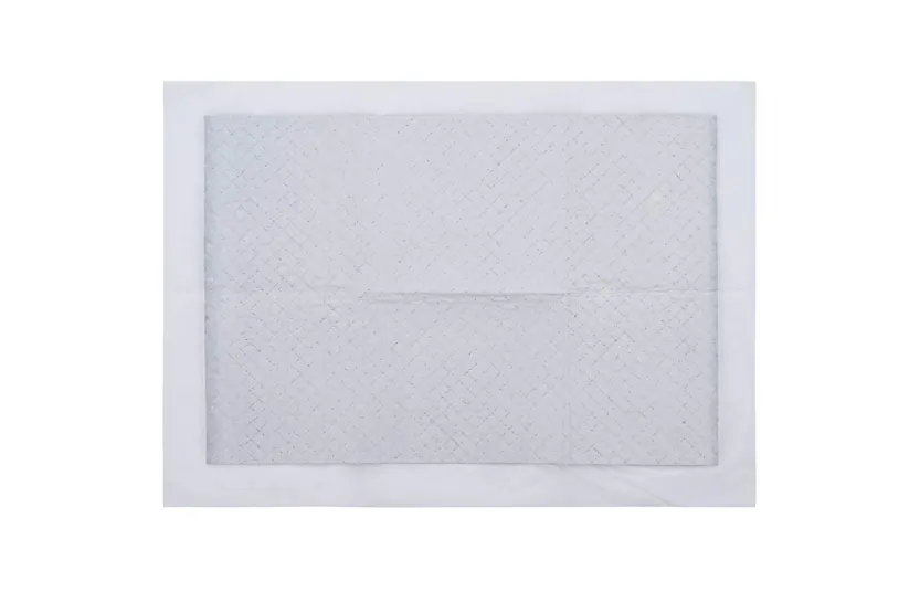 Vidaxl Pet Training Pad Plain 50 Pcs 45 X 33 Cm Vidaxl Pet Training Pad Plain 50 Pcs 45 X 33 Cm