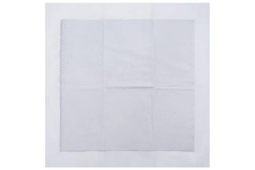 Vidaxl Pet Training Pad Plain 100 Pcs 60 X 60 Cm Vidaxl Pet Training Pad Plain 100 Pcs 60 X 60 Cm