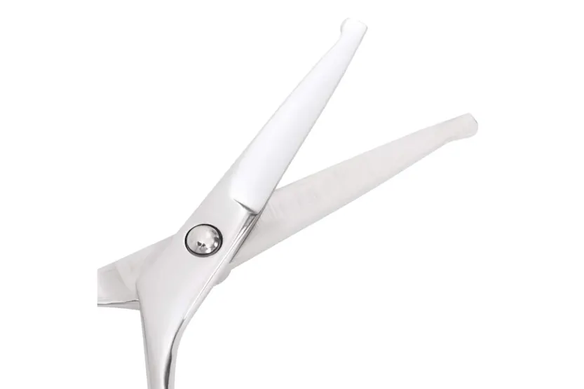 Vidaxl 6 Piece Dog Grooming Scissors Set Stainless Steel Vidaxl 6 Piece Dog Grooming Scissors Set Stainless Steel