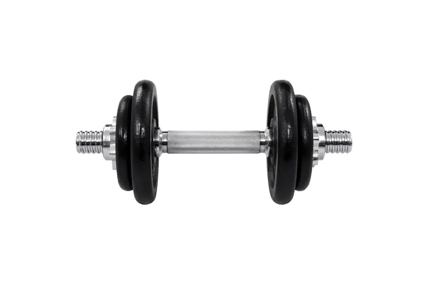 Vidaxl 15 Piece Dumbbell Set 20 Kg Cast Iron Vidaxl 15 Piece Dumbbell Set 20 Kg Cast Iron