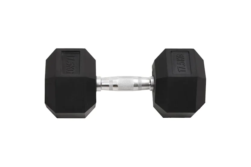 Vidaxl Dumbbell 17.5 Kg Cast Iron Vidaxl Dumbbell 17.5 Kg Cast Iron