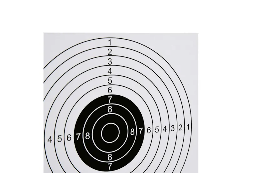 Vidaxl 100 Pcs Shooting Paper Targets 15x15 Cm Vidaxl 100 Pcs Shooting Paper Targets 15x15 Cm