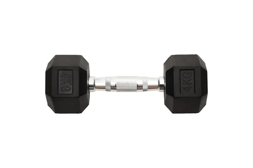 Vidaxl Dumbbells 2 Pcs 8 Kg Total Cast Iron Vidaxl Dumbbells 2 Pcs 8 Kg Total Cast Iron