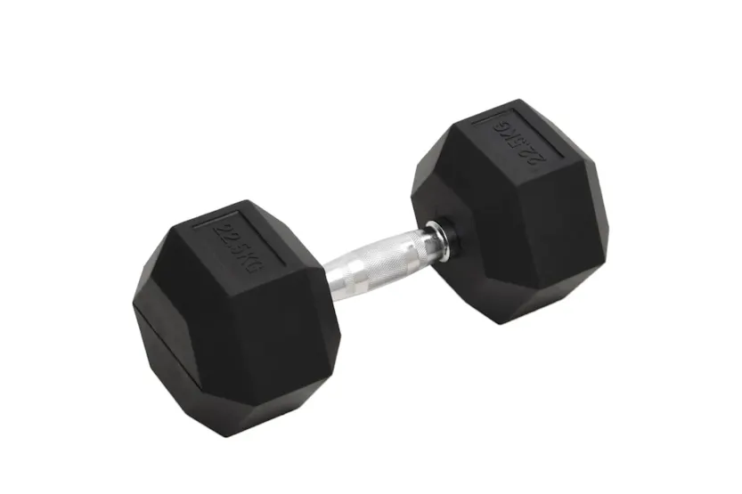 Vidaxl Dumbbell 22.5 Kg Cast Iron Vidaxl Dumbbell 22.5 Kg Cast Iron