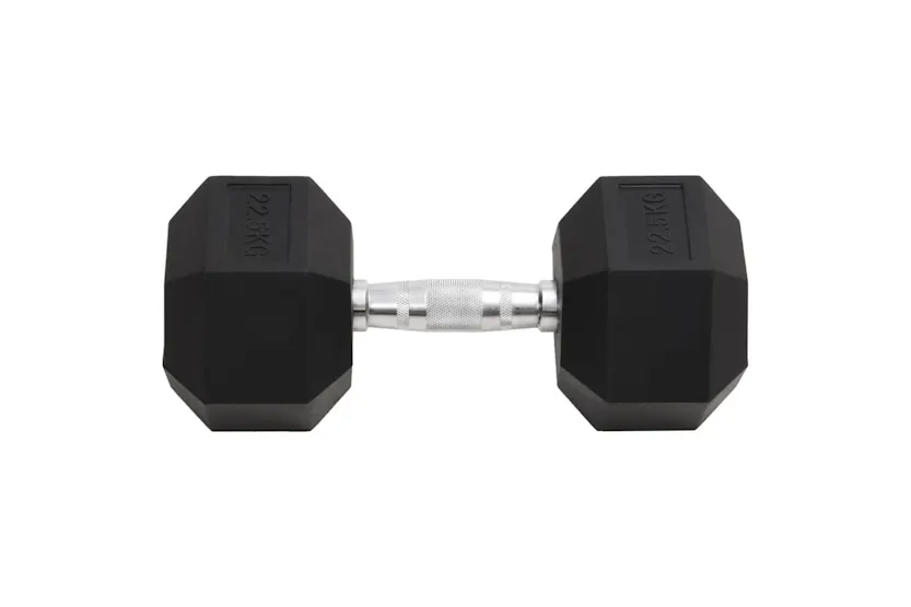 Vidaxl Dumbbell 22.5 Kg Cast Iron Vidaxl Dumbbell 22.5 Kg Cast Iron