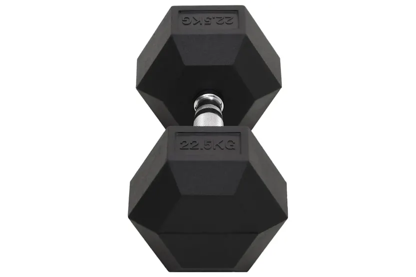 Vidaxl Dumbbell 22.5 Kg Cast Iron Vidaxl Dumbbell 22.5 Kg Cast Iron