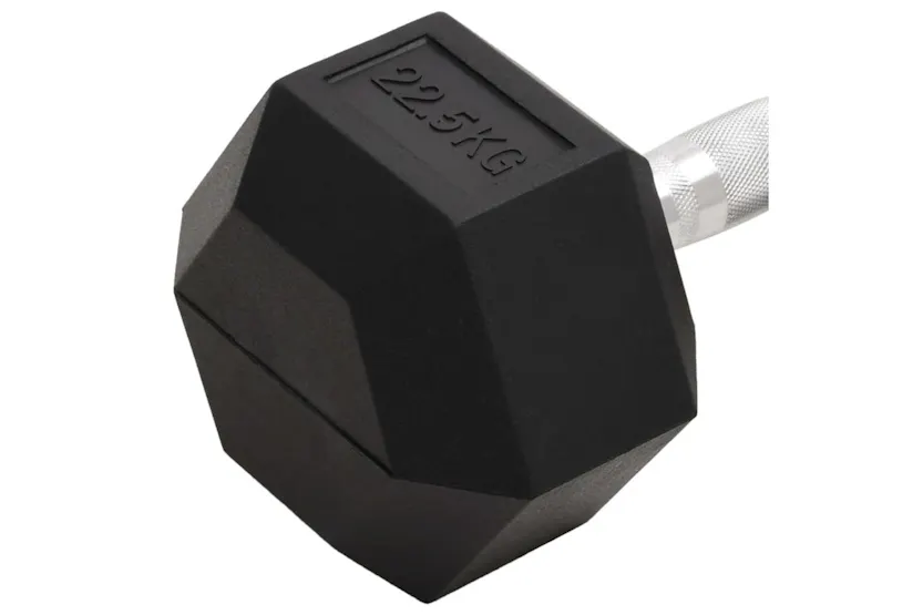 Vidaxl Dumbbell 22.5 Kg Cast Iron Vidaxl Dumbbell 22.5 Kg Cast Iron