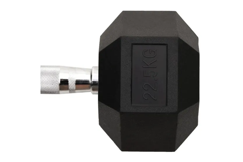 Vidaxl Dumbbell 22.5 Kg Cast Iron Vidaxl Dumbbell 22.5 Kg Cast Iron