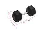 Vidaxl Dumbbell 22.5 Kg Cast Iron Vidaxl Dumbbell 22.5 Kg Cast Iron