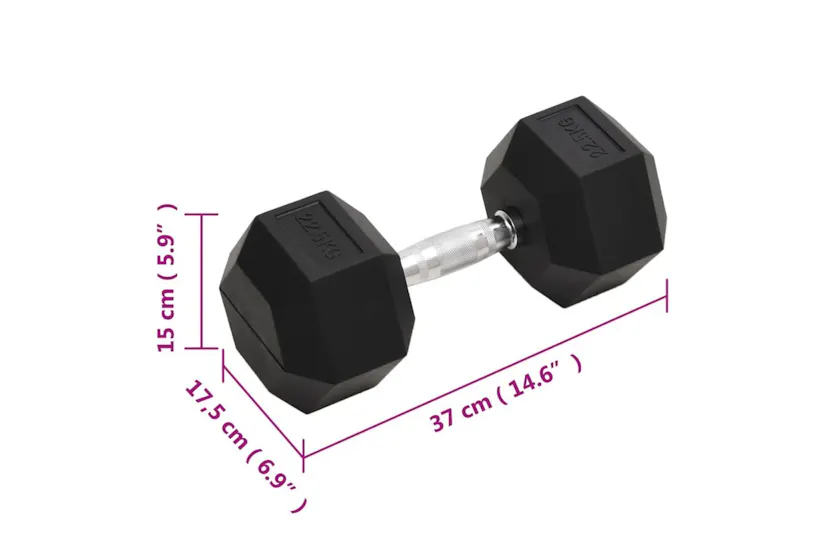 Vidaxl Dumbbell 22.5 Kg Cast Iron Vidaxl Dumbbell 22.5 Kg Cast Iron