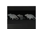 Vidaxl Magnetic Knockdown Pellet Catcher Shooting Target 4 + 1 Targets Mouse Design Vidaxl Magnetic Knockdown Pellet Catcher Shooting Target 4 + 1 Targets Mouse Design