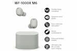 Sony XM6 True Wireless Active Noise Cancelling Earbuds | Silver Sony XM6 True Wireless Active Noise Cancelling Earbuds | Silver