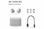Sony XM6 True Wireless Active Noise Cancelling Earbuds | Silver Sony XM6 True Wireless Active Noise Cancelling Earbuds | Silver