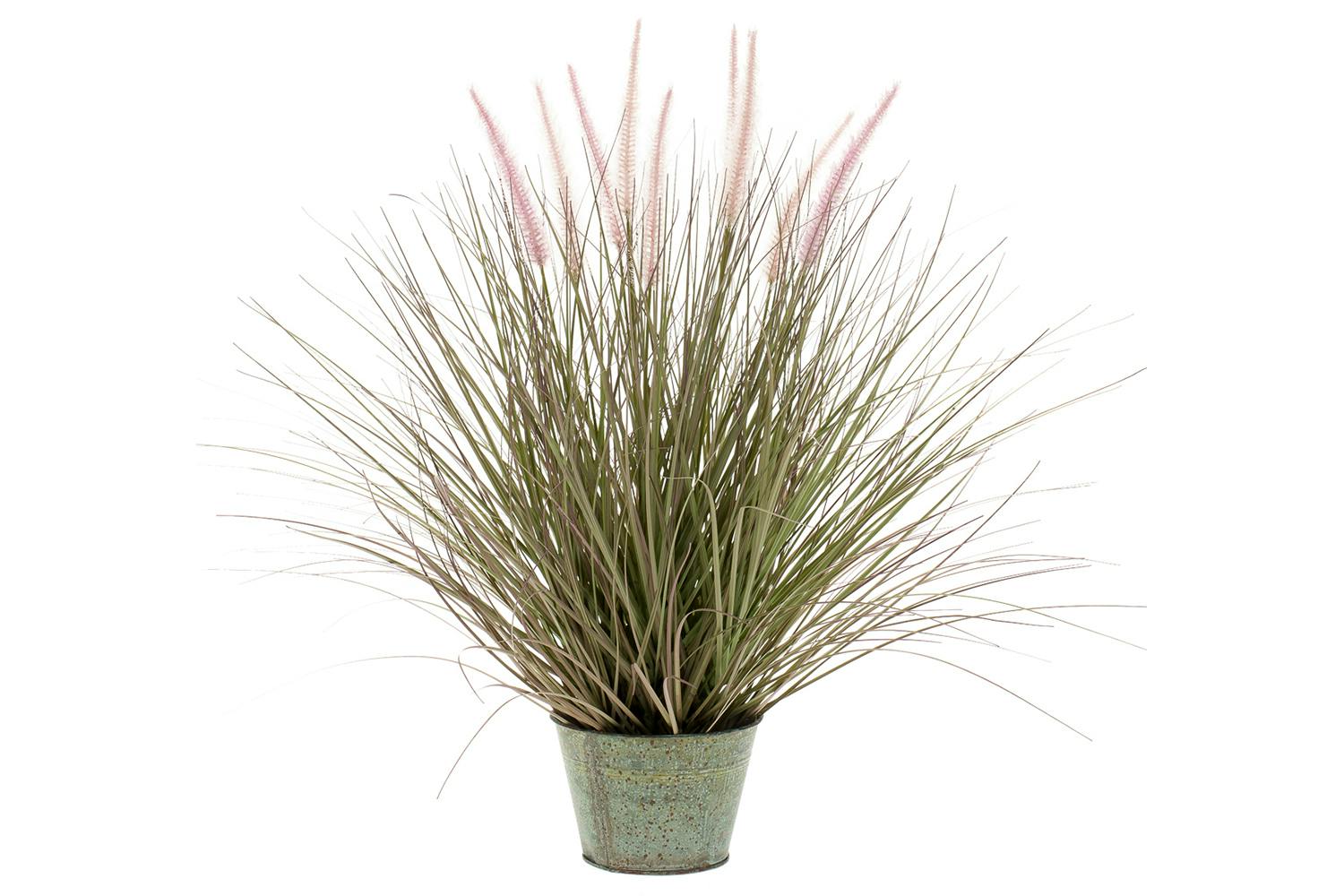 Pennisetum Grass in Zinc Pot | 58 cm