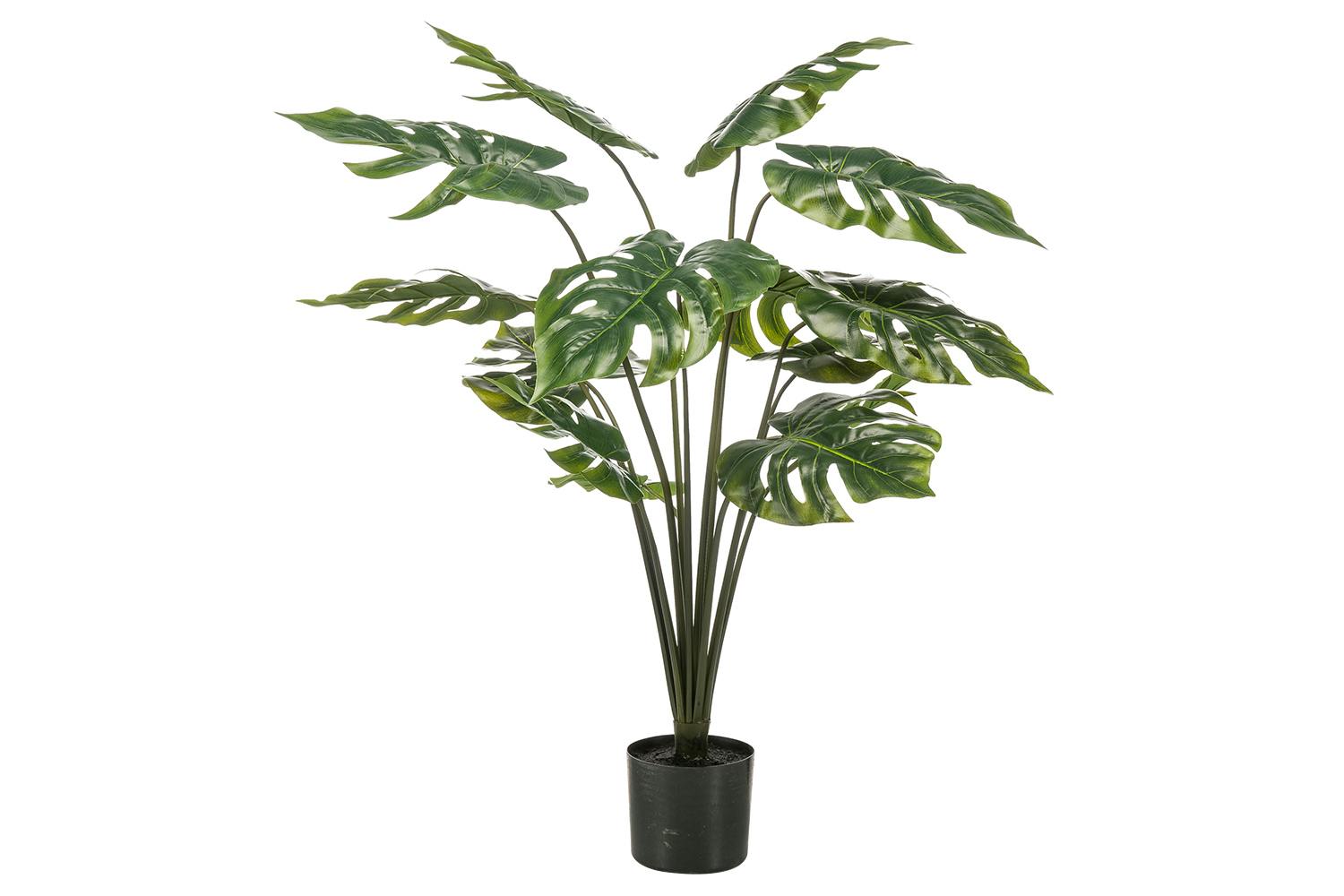 Monstera Plant in Pot | 95 cm