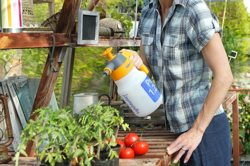 Hozelock Spraymist Pressure Sprayer | 1.25L Hozelock Spraymist Pressure Sprayer | 1.25L