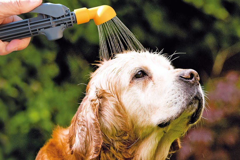 Hozelock 4-in-1 Portashower Pro Hozelock 4-in-1 Portashower Pro