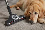 Miele Blizzard CX1 Cat & Dog SKCF5 Bagless Cylinder Vacuum Cleaner | BLIZZARDCAT&DOG Miele Blizzard CX1 Cat & Dog SKCF5 Bagless Cylinder Vacuum Cleaner | BLIZZARDCAT&DOG