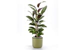 Plastia Tolita Flower Pot | Green | 16cm Plastia Tolita Flower Pot | Green | 16cm