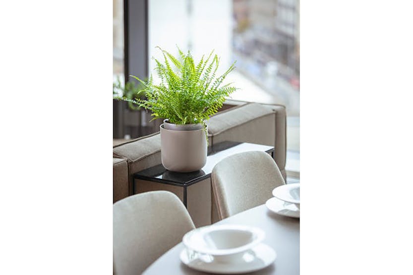 Plastia Tolita Flower Pot | Taupe | 19cm Plastia Tolita Flower Pot | Taupe | 19cm