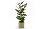 Plastia Tolita Flower Pot | Green | 19cm Plastia Tolita Flower Pot | Green | 19cm