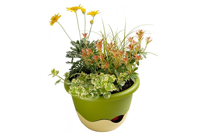 Plastia Mareta Flower Pot | Green & Beige | 30cm Plastia Mareta Flower Pot | Green & Beige | 30cm