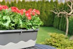 Plastia Mareta Flower Box | Grey | 60cm Plastia Mareta Flower Box | Grey | 60cm