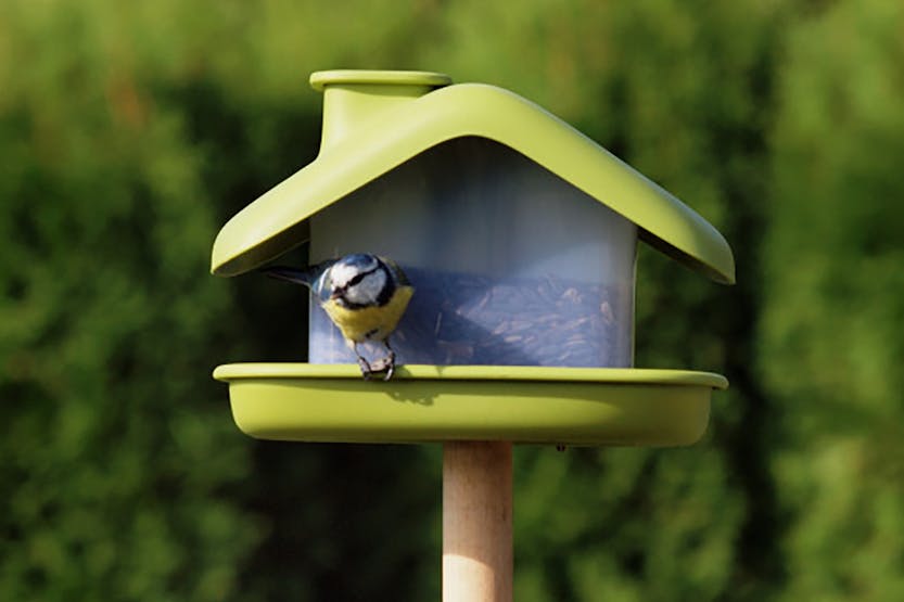 Plastia Domek Bird Feeder | Green | 21cm Plastia Domek Bird Feeder | Green | 21cm