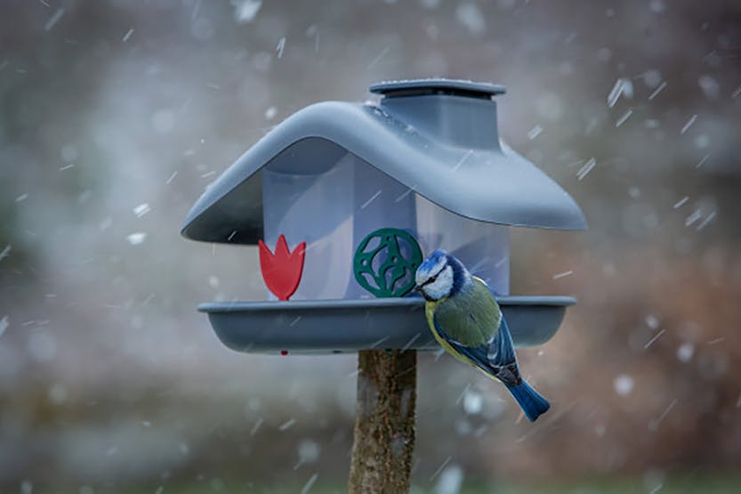 Plastia Domek Bird Feeder | Grey | 21cm Plastia Domek Bird Feeder | Grey | 21cm