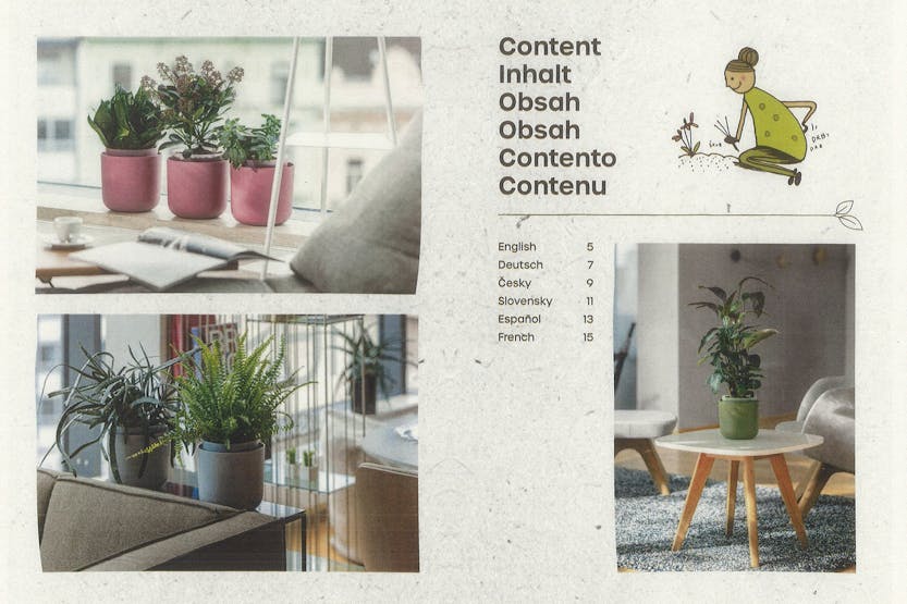 Plastia Tolita Flower Box | Green | 16.6cm Plastia Tolita Flower Box | Green | 16.6cm