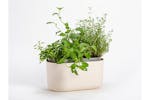 Plastia Tolita Flower Box | Beige | 16.6cm Plastia Tolita Flower Box | Beige | 16.6cm