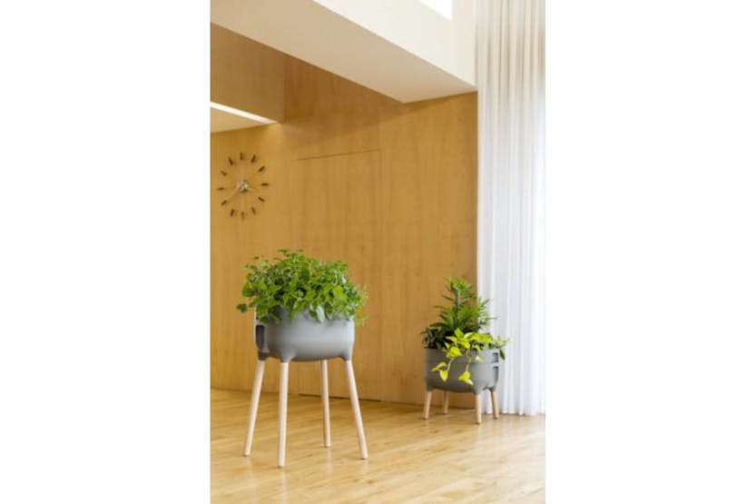 Plastia Raised Indoor Planter Urbalive | Grey | 77cm Plastia Raised Indoor Planter Urbalive | Grey | 77cm