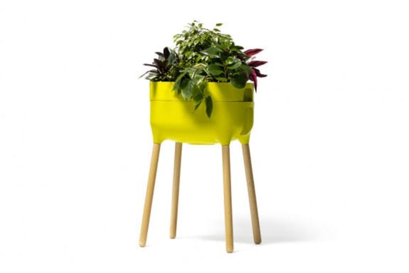 Plastia Raised Indoor Planter Urbalive | Green | 77cm Plastia Raised Indoor Planter Urbalive | Green | 77cm