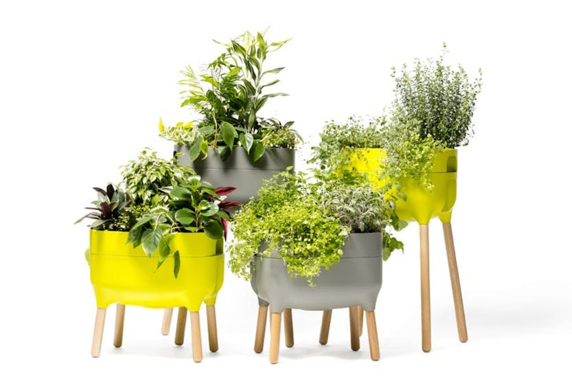Plastia Indoor Low Planter Urbalive | Green | 47.5cm Plastia Indoor Low Planter Urbalive | Green | 47.5cm