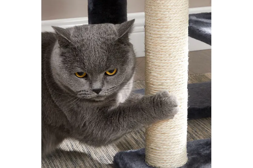 Feandrea Cat Condo with Bed & Hammock | Smoky Gray Feandrea Cat Condo with Bed & Hammock | Smoky Gray