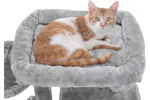 Feandrea UPCT51W Side Slope Cat Tree | Light Grey Feandrea UPCT51W Side Slope Cat Tree | Light Grey