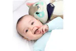 Alecto BC351 Music Toy Raccoon Alecto BC351 Music Toy Raccoon