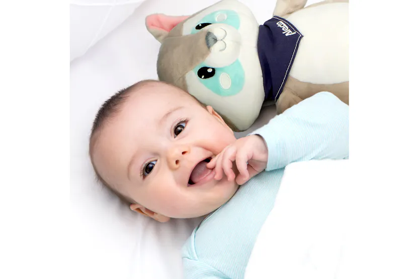 Alecto BC351 Music Toy Raccoon Alecto BC351 Music Toy Raccoon