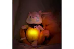 Alecto BC351 Music Toy Raccoon Alecto BC351 Music Toy Raccoon