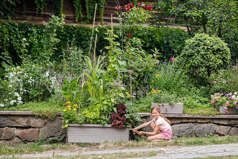 Plastia Berberis Trio Flower Box | Anthracite | 117cm Plastia Berberis Trio Flower Box | Anthracite | 117cm