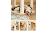 Feandrea PCT141M01 Cat Tree Feandrea PCT141M01 Cat Tree