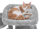 Feandrea PCT51M Scratching Post Cat Tree | Beige Feandrea PCT51M Scratching Post Cat Tree | Beige