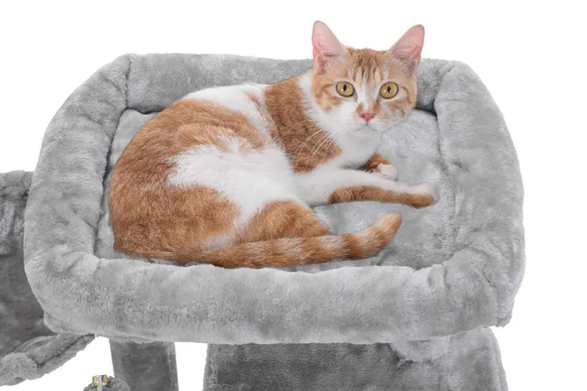 Feandrea PCT51M Scratching Post Cat Tree | Beige Feandrea PCT51M Scratching Post Cat Tree | Beige
