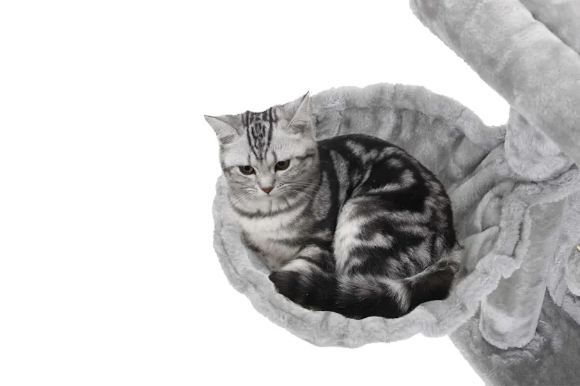 Feandrea PCT51M Scratching Post Cat Tree | Beige Feandrea PCT51M Scratching Post Cat Tree | Beige