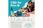Hemp Heros CBD Drops for Pets | 500mg XL Hemp Heros CBD Drops for Pets | 500mg XL
