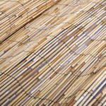 vidaXL 147739 Garden Reed Fence 125x1000cm vidaXL 147739 Garden Reed Fence 125x1000cm