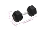 vidaXL 93608 Dumbbell 20 Kg Cast Iron vidaXL 93608 Dumbbell 20 Kg Cast Iron